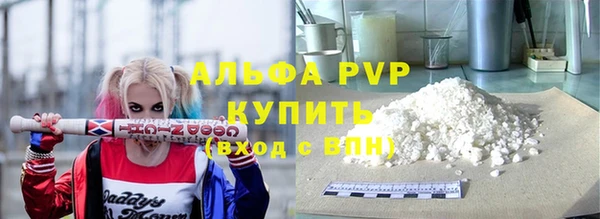 индика Богданович